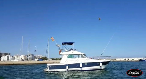 StopGull Falcon at Motorboat