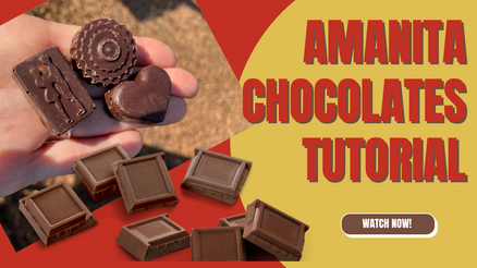 Making Amanita Chocolates