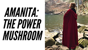 Amanita The Power Mushroom