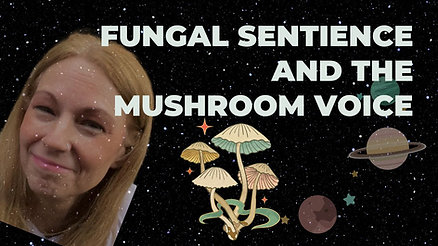 Sentience Of Fungi