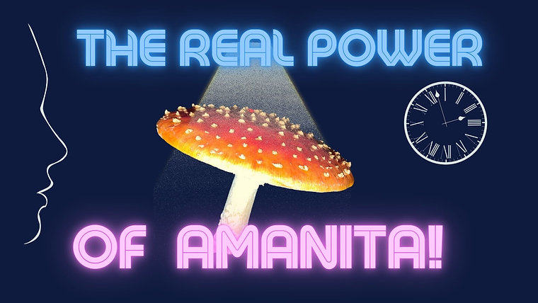 Real Power Of Amanita Course!