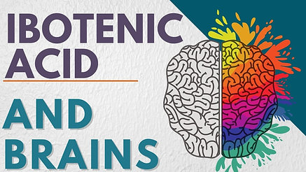 Ibotenic Acid And The Brain
