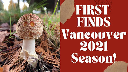 First Forage Vancouver '21