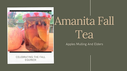 September Amanita Tea Recipe