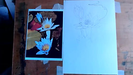 Drawing Cafe Waterlilies 14 03 22