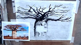 Drawing Cafe 6 6 22 Charcoal Tree