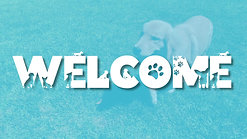 Techpaw Welcome