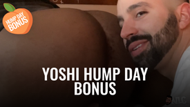 Yoshi Hump Day Bonus