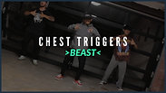 Beast | Chest Triggers - TCS Fundraiser