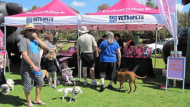Dogs Day Out Mawson Lakes