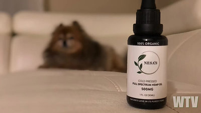 What You Need To Know About CBD And The HEALING POWER Of HEMP