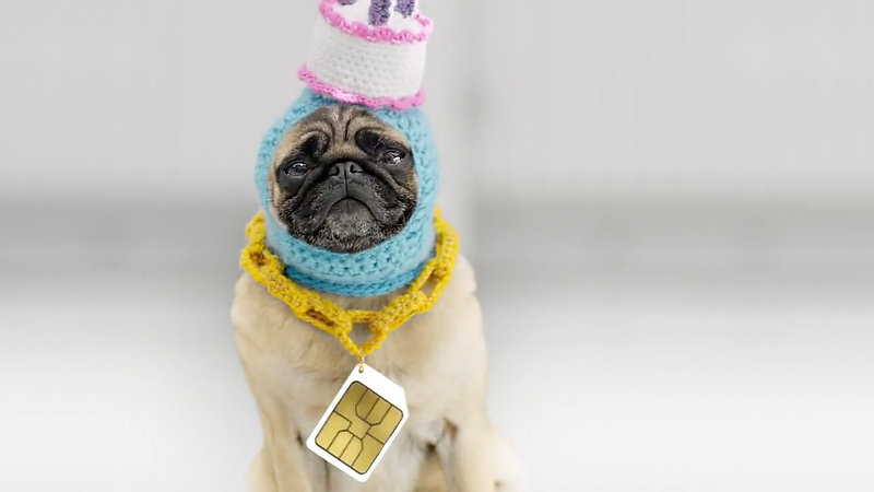Three - Pay as You Go Just Got Serious - Pug 321 Advert