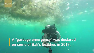 Shocking footage of sealife swimming amongst plastic in Bali waters