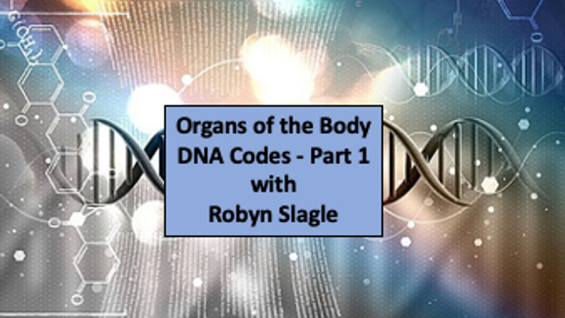 Organs of the Body DNA Codes Part 1