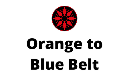 Orange to Blue Belt
