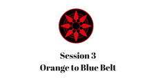 Orange to Blue Belt Session 3