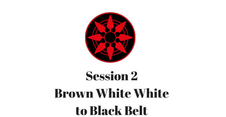 Brown White White to Black Belt Session 2