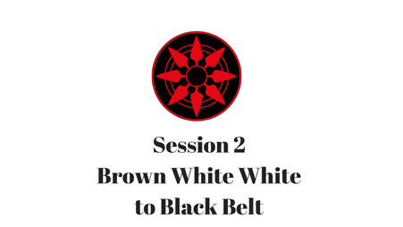 Brown White White to Black Belt Session 2
