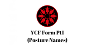 Yang Chen Fu Section 1 (Named Postures)