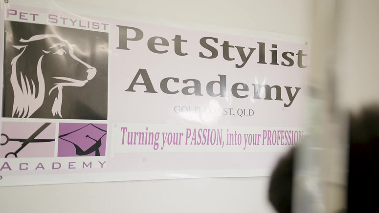 The Pet Stylist Academy