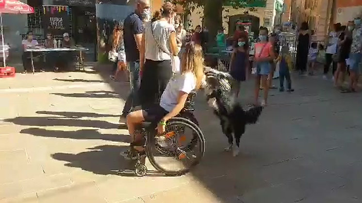 SPY pousse le fauteuil roulant