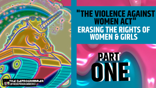 The Violence Against Women Act: Erasing the Rights of Women & Girls