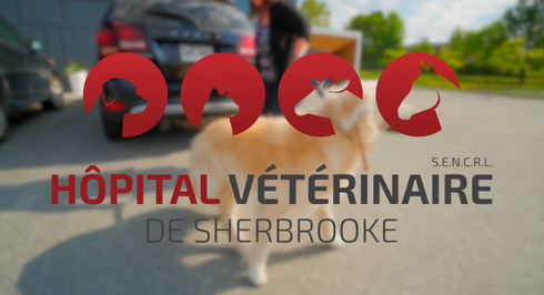 Hôpital vétérinaire de Sherbrooke