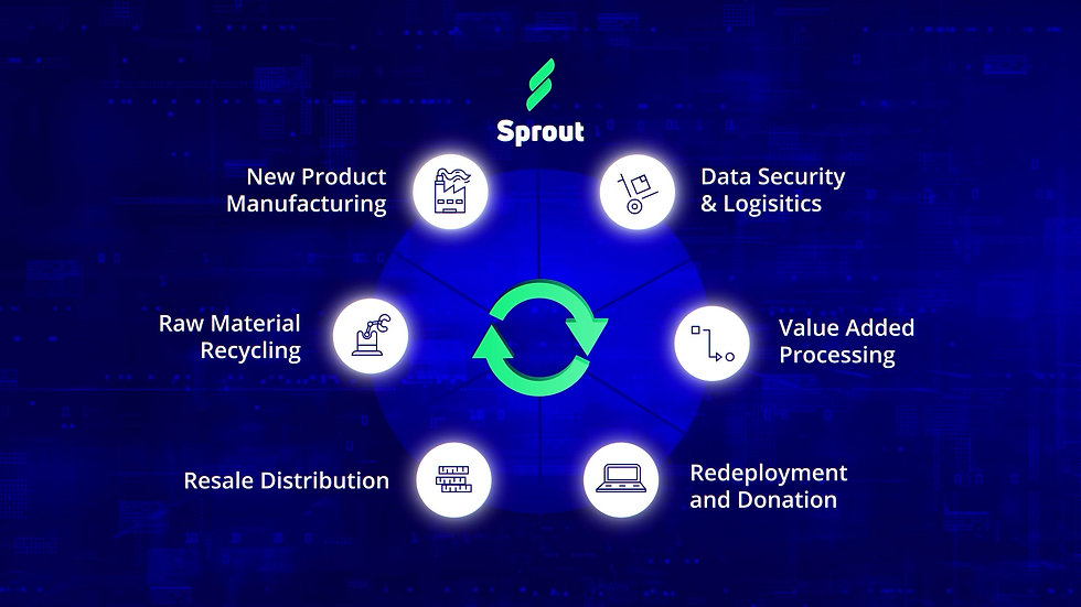 Why Choose Sprout