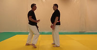 Karate defense