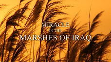 Miracle in the Marshes of Iraq 
