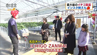 13種類のイチゴ食べ放題 Ichigo Zanmai イチゴザンマイ 山梨 Japan