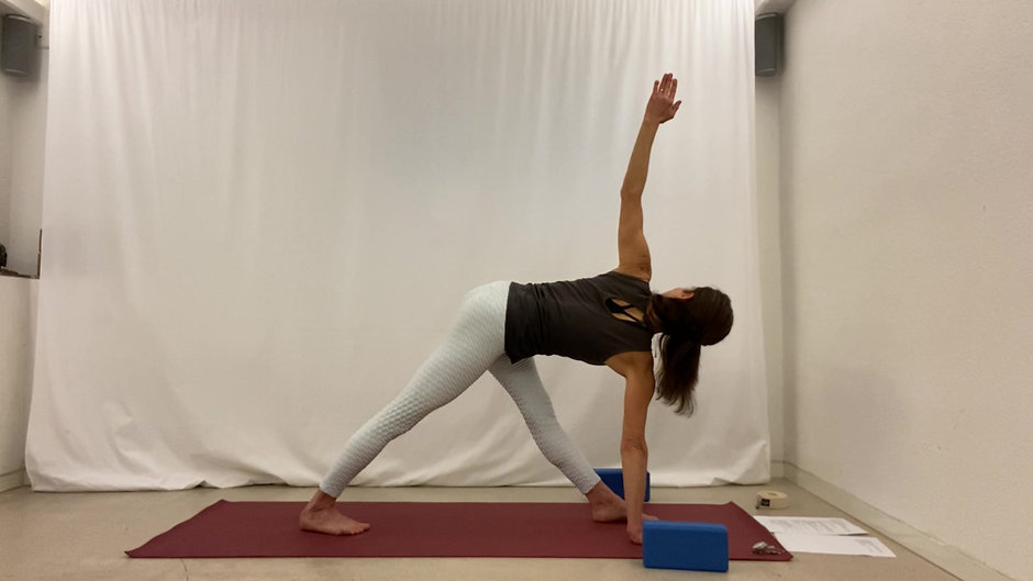 Full Yoga class (90min)