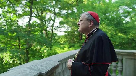 Cardinal Burke's Inspiration for the Shrine