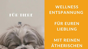 Oster Special - SPARE 60%  !!!    Raindrop Massage für Hunde