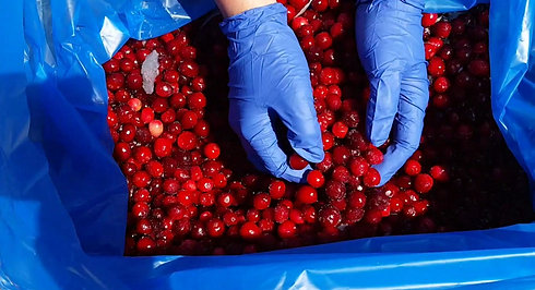 Frozen Whole Cranberries