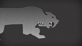 Noctis Logo Animation