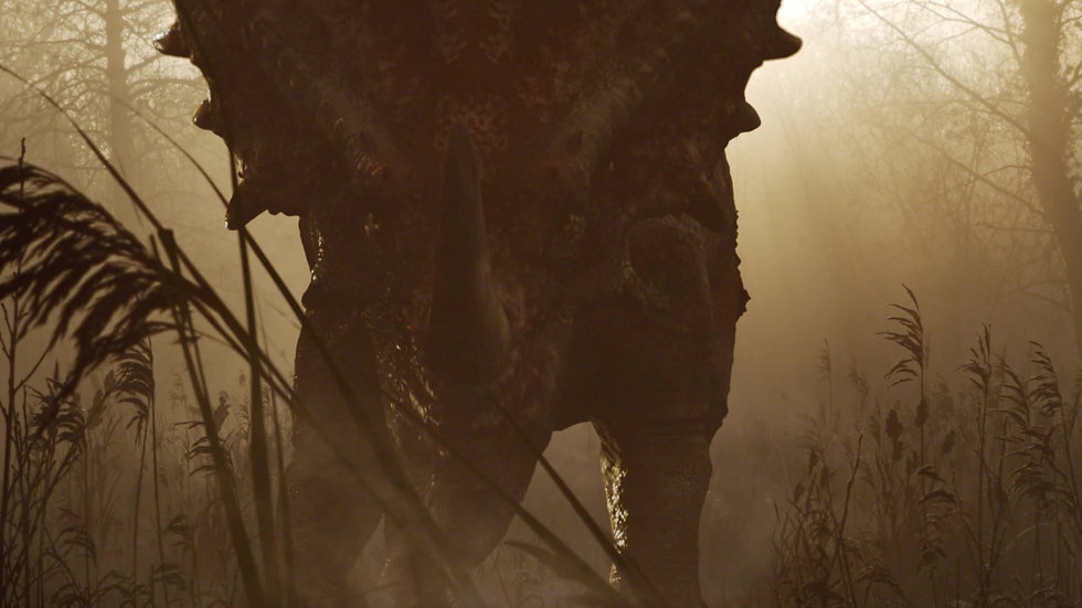 Styracosaurus_12th_Feb_2021