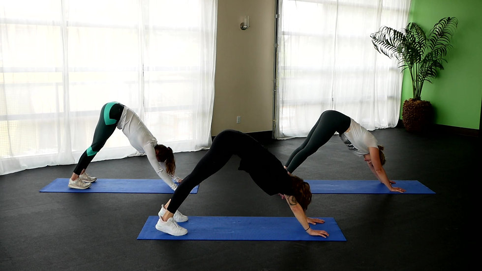 Yoga & Mobility Classes