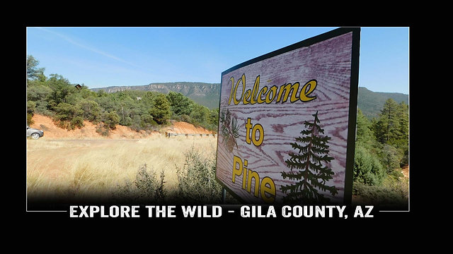 Welcome To Pine, Arizona - Explore The Wild