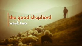 The Good Shepherd wk 2