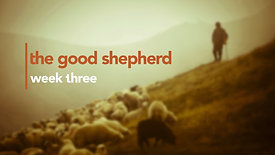 The Good Shepherd wk 3