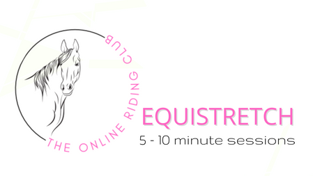 Equistretch - 5 - 10 minute sessions