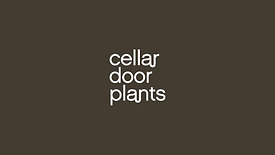 Lets Hear From Our Customers! - Cellar Door Plants -