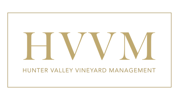 HVVM - Four Seasons of the Viticultural Year.H264