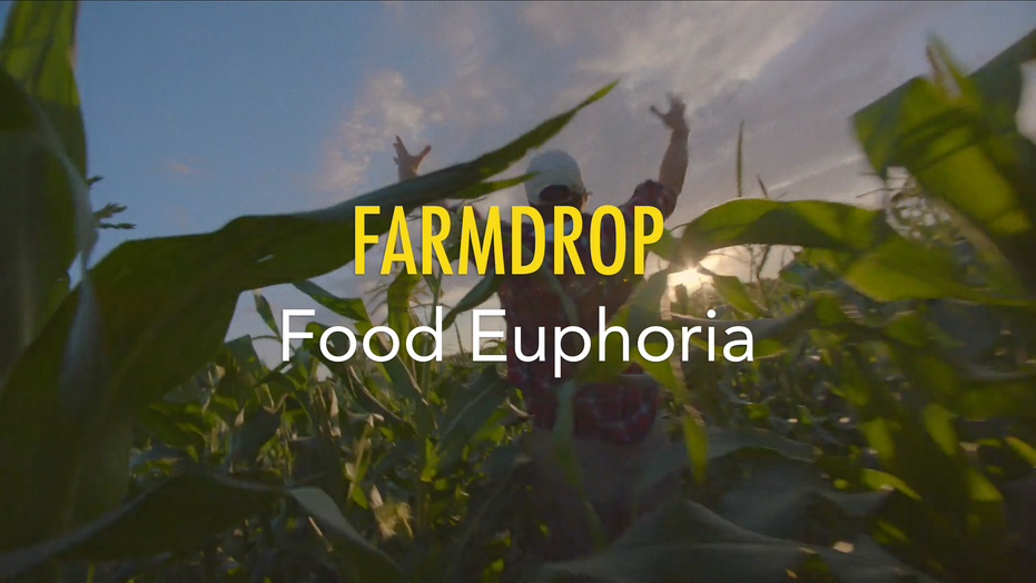 Farmdrop | Food Euphoria | Dave Bullivant