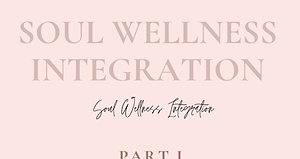 Soul Wellness Integration Module 1