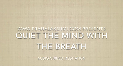 Quiet the Mind with the Breath video