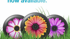 animation_floral_cases_ecommerce_1x1-