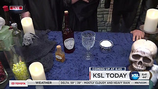 The Wizarding Academy on KSL Morning Show (3)
