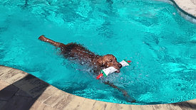 Playing in the pool with my new toy.